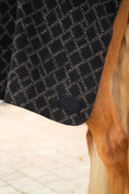 Load image into Gallery viewer, WOOL BLANKET ONYX
